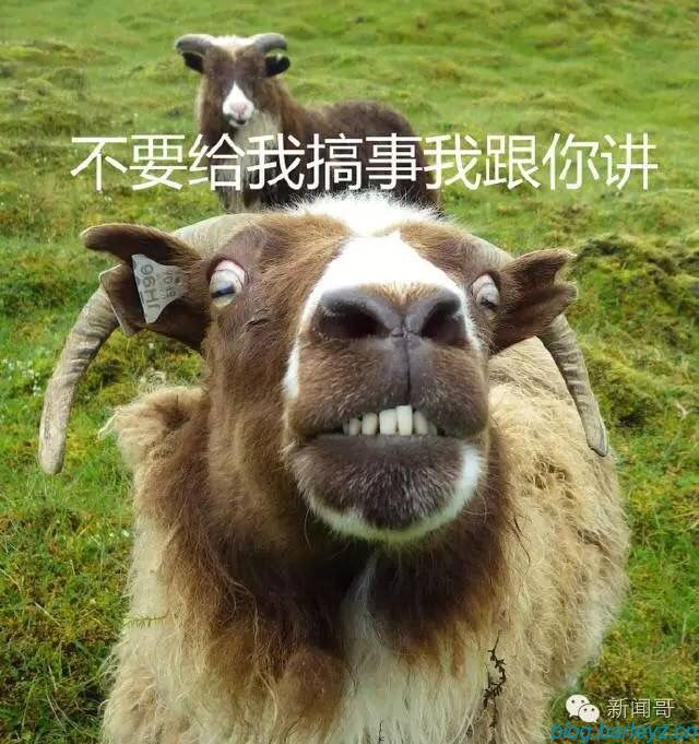 Barley博客